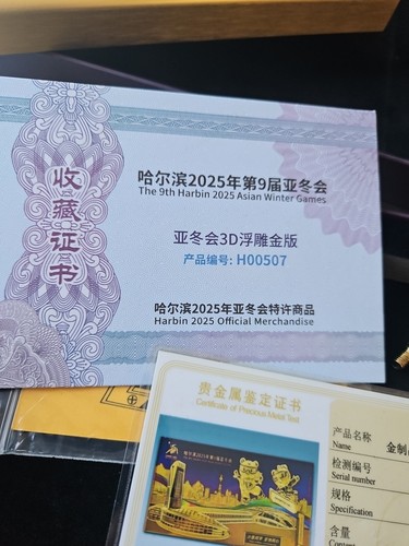 9th Asian Winter Games Harbin 2025 Framed Memorabilia Art READ DESCRIPTION. - Picture 8 of 15