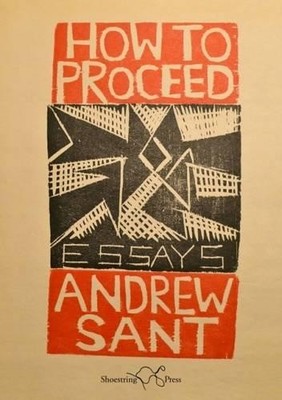Andrew Sant How to Proceed (Taschenbuch)