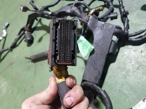 6.4 Powerstroke Turbo Diesel 6.4L International A350 Engine Harness 1876436 C2 - Picture 2 of 8