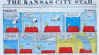 Peanuts by Charles Schulz lot of 24 Sunday color comic pages from early 1977