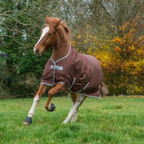 BUCAS Freedom Turnout 300 g Brown, winter blanket, outdoor rug BUCAS Freedom Turnout 300 g Brown, winter blanket, outdoor rug