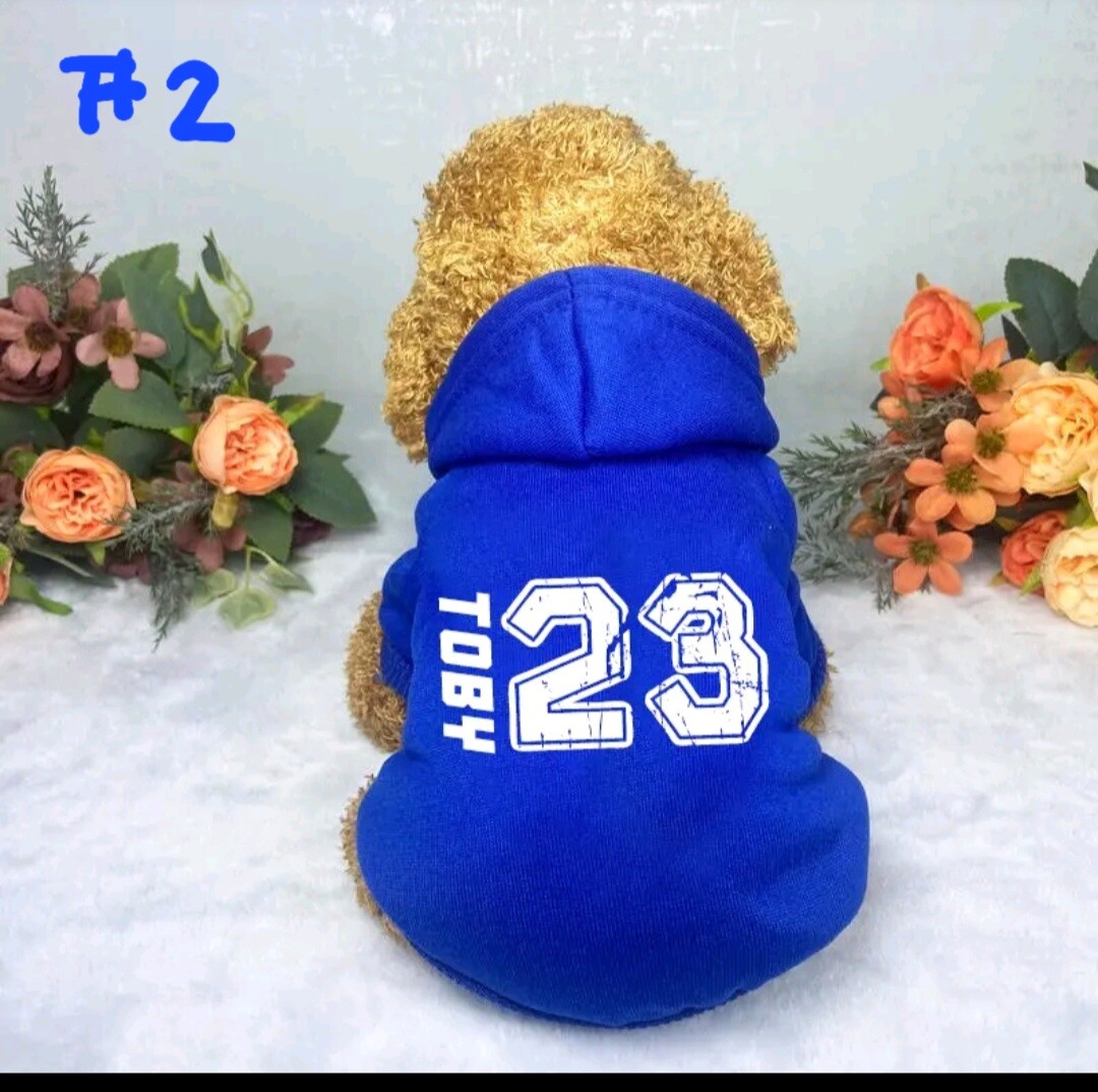 Picture 3 of 12