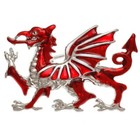 Wish Jewellery Welsh Dragon Brooch