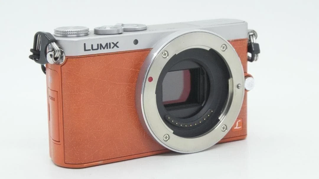 Panasonic LUMIX GM1 Digital Cameras for Sale | Shop New & Used