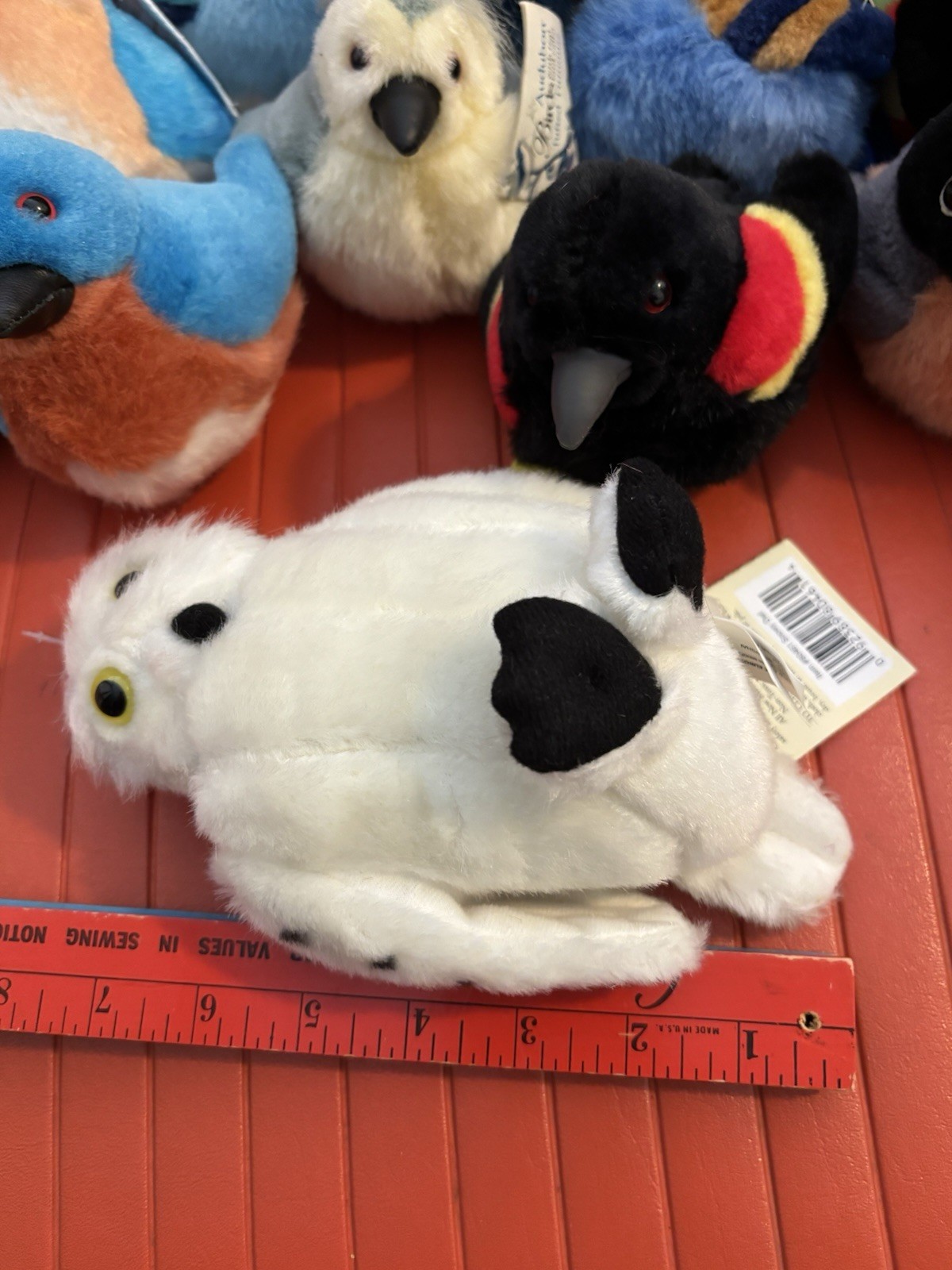 Picture 5 of 20
