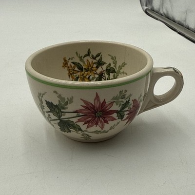 VINTAGE ATLANTIC COAST LINE EISENBAHN BÜFFEL PORZELLAN FLORA DES SÜDENS TEETASSE