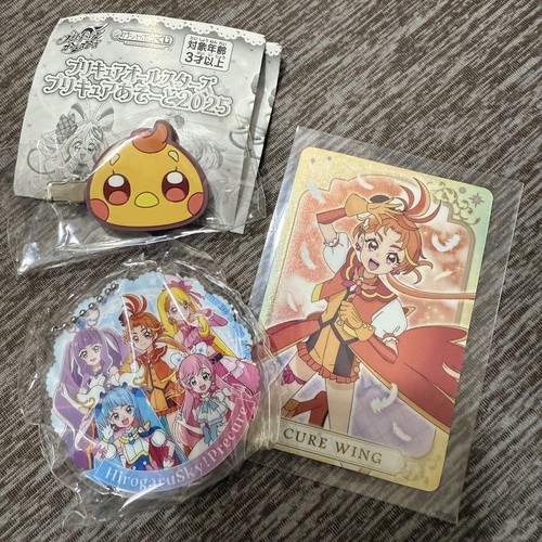 Soaring Sky! Pretty Cure Precure Cure Wing/Tsubasa Set