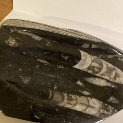 ORTHOCERAS FOSSIL Quarz geschnitzter polierter Stein Seifenschale Aschenbecher Vintage Kunst - Bild 6 von 11