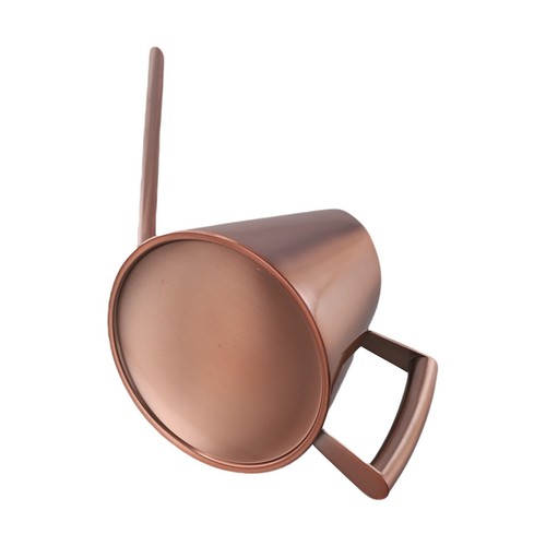Efficiently Water Your Plants with Stylish Long Spout Stainless Steel Can - Afbeelding 18 van 61