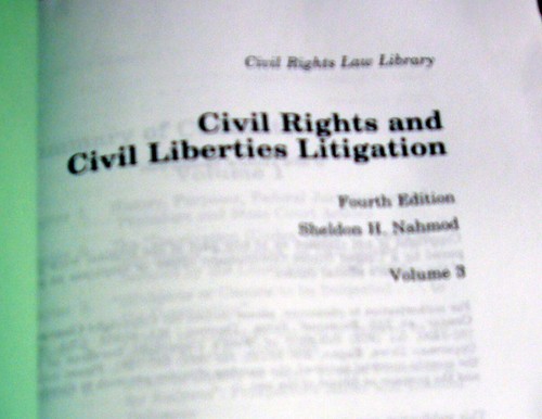 Civil Rights and Civil Liberties Litigation The Law of Section 2008 4th Edition - Picture 10 of 11
