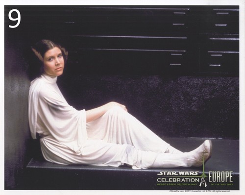 Star Wars OFFIZIELLES PIX Celebration Europa - leeres 8"x10" Foto Multi-Angebot OVP - Bild 11 von 103