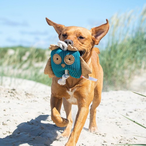 Hundespielzeug Eule, Monster, Gespenst, Minifeet - Bild 5 von 18