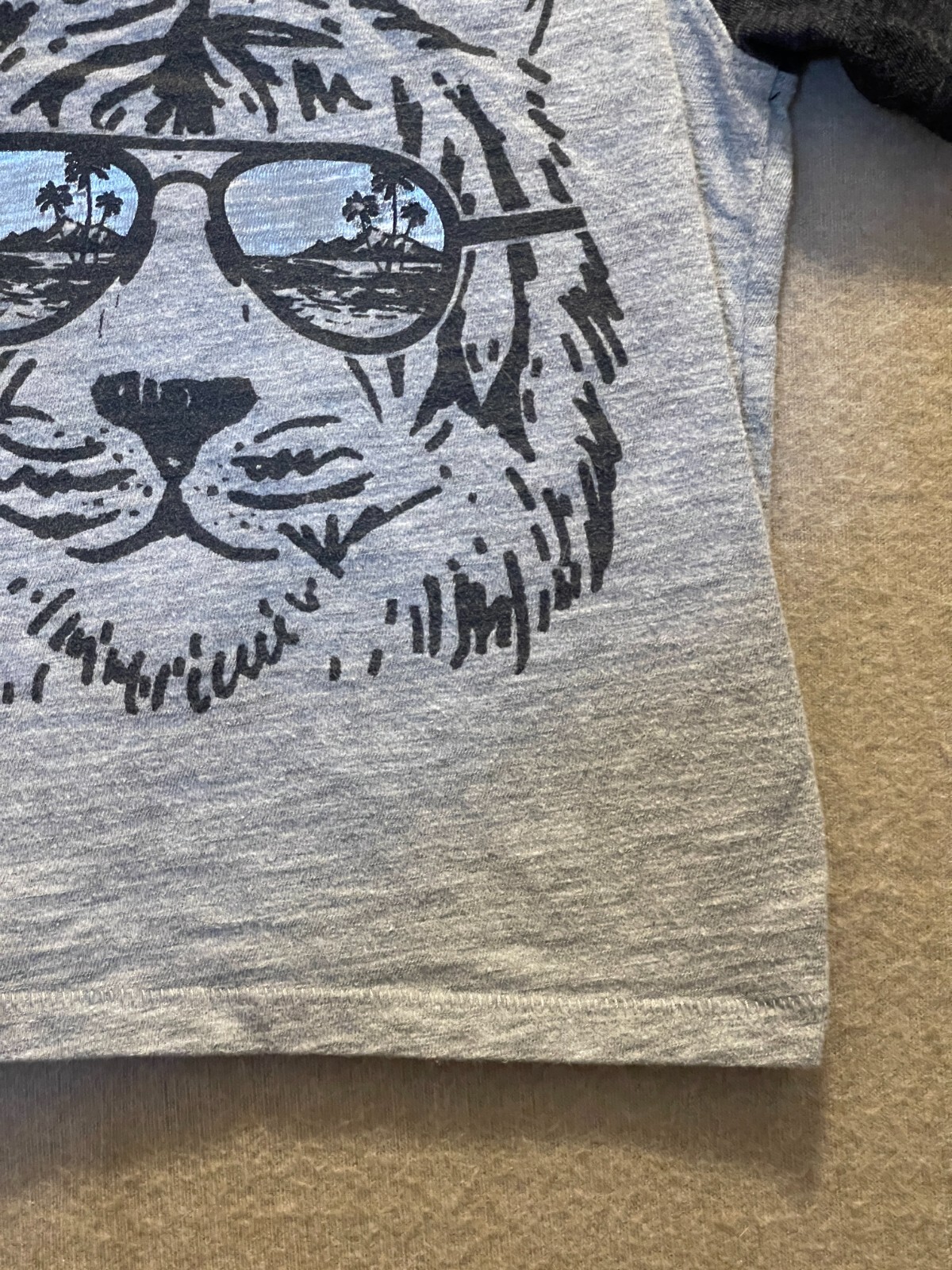 Picture 5 of 11