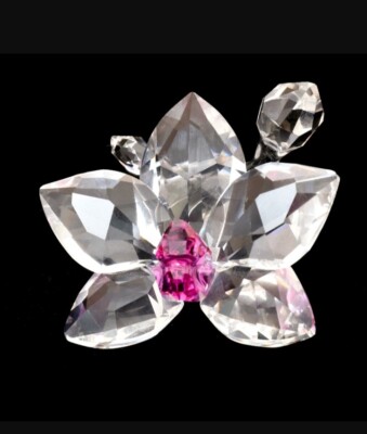廃盤　美品　SWAROVSKI　オーキッド　ブロッサム　胡蝶蘭　クリスタル 廃盤 美品 SWAROVSKI オーキッド ブロッサム 胡蝶蘭 クリスタル