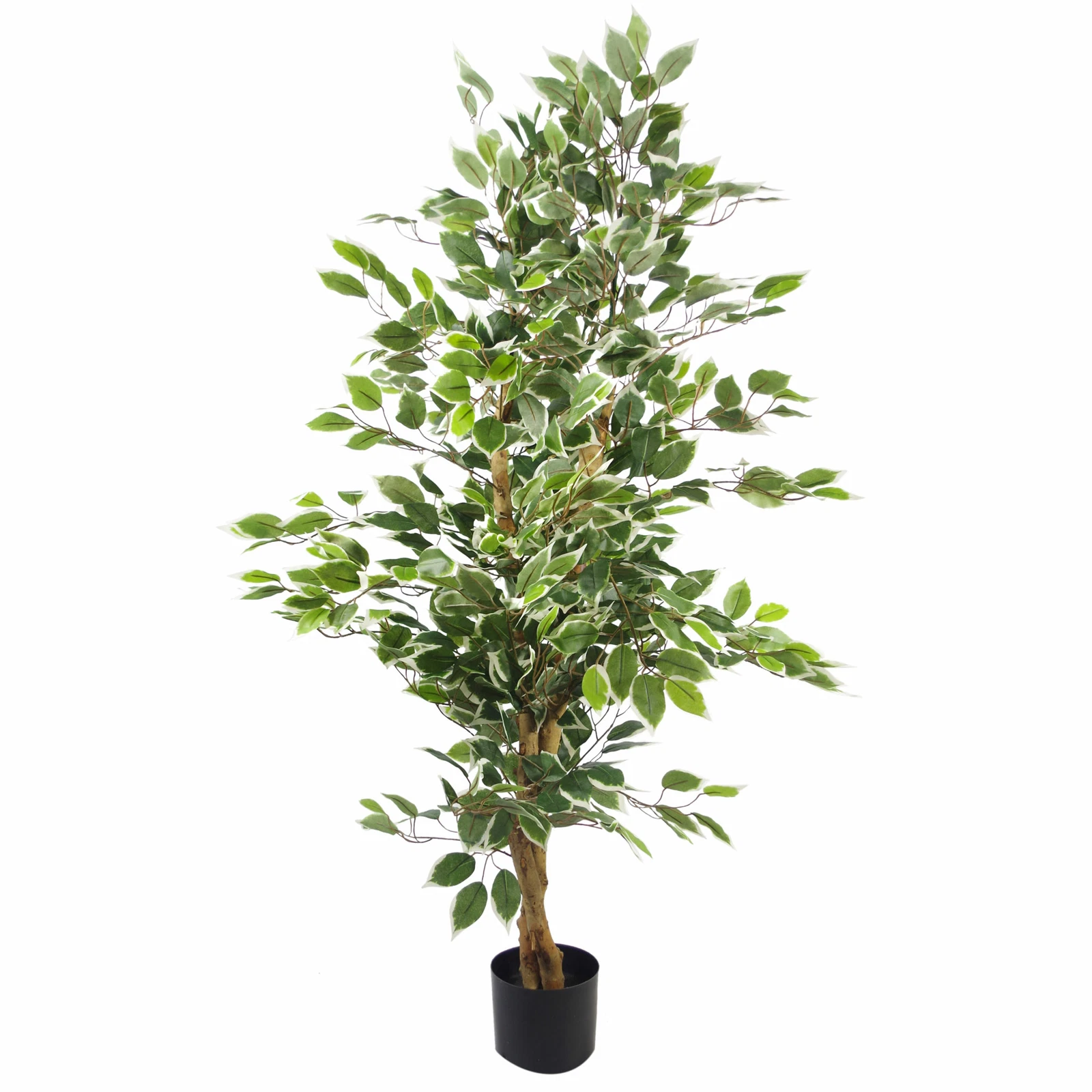 130cm White/Green Ficus - 7370