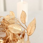 Bild 6 von 9