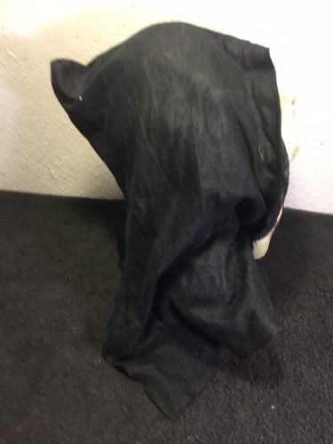 Vintage Scary Scream Ghost Face Crypt Ghoul Skeleton Skull - Picture 7 of 7