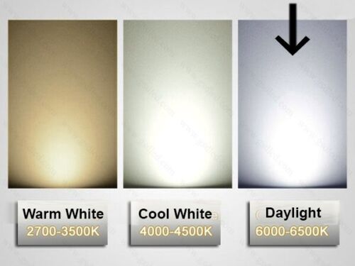 4 x 6W Dimmable LED GU10 Downlight Globes Bulbs Cool Daylight 6500K 500Lm 240V - Picture 3 of 3