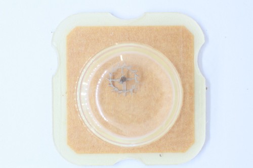 FHF 371 372 373 INT ST Part 705 Roue echappement Escape wheel Ruota d'ancora NOS - Bild 2 von 2