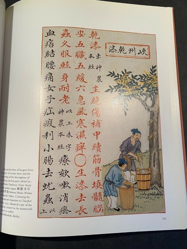 Medizin in China, von Paul U. Unschuld - 2000 - 1. Auflage, 1. Druck, HC Buch DJ - Bild 9 von 12