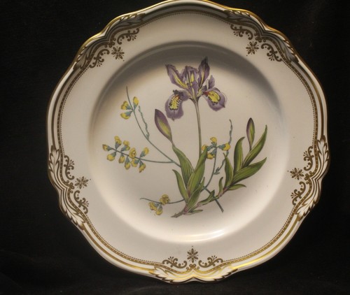 SPODE STAFFORD FLOWERS 4ER SET SPEISETELLER - IRIS - Bild 9 von 9