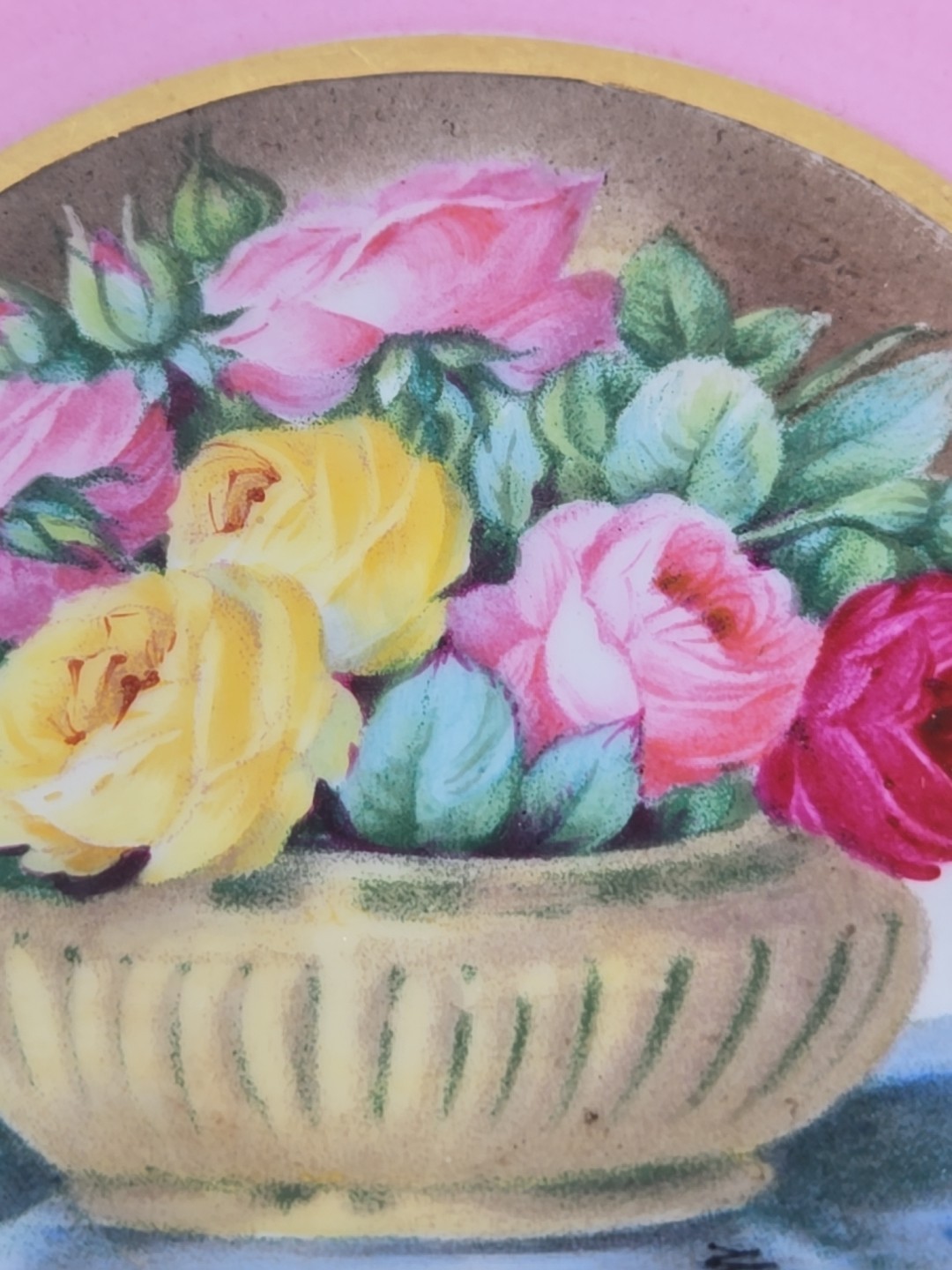 Picture 5 of 15