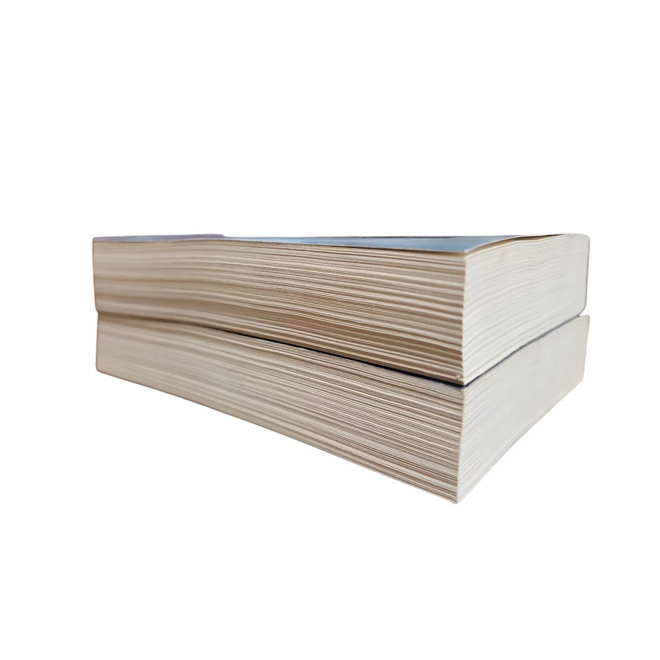 Francine Rivers Mark of the Lion Series An Echo in the Darkness/As Sure as Dawn - Image 4 of 4