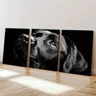 3pcs Black Labrador Retriever Art Decor Wall Art Canvas Framed 50x70cm