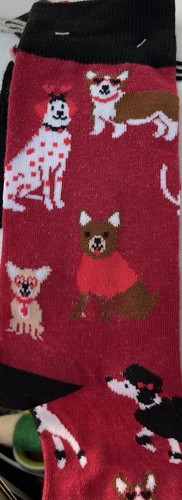 Valentine's Day Dogs Galore!Crew Cut Socks Hearts ❤️ Greenbrier International - Picture 5 of 6