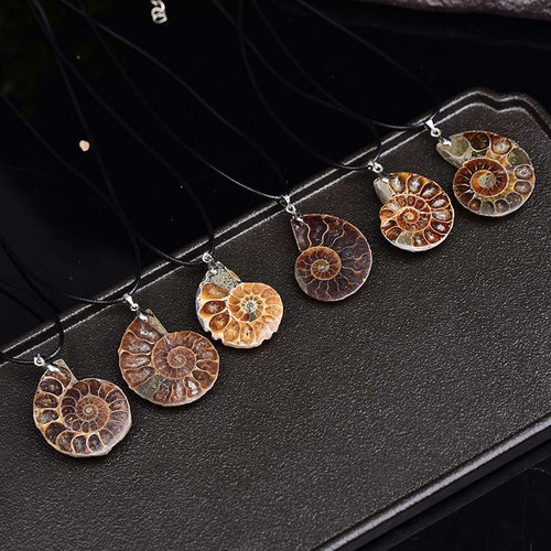 Natural Conch Shell Fossil Quartz Crystal Pendant Healing Mineral Necklace Stone - Picture 10 of 10