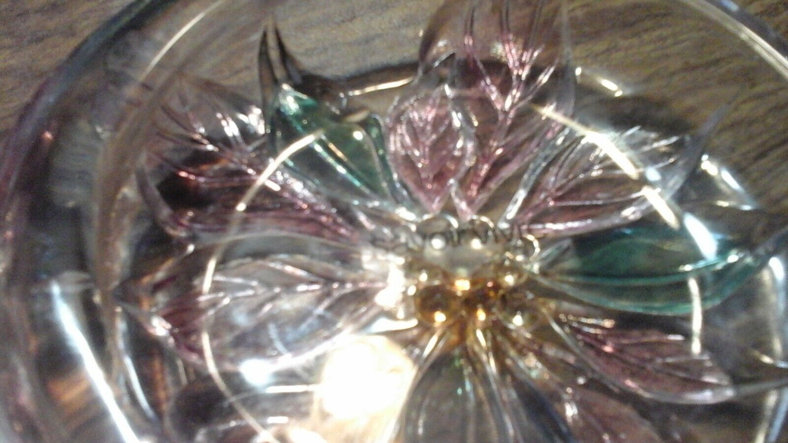 Picture 6 of 7