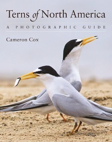 Terns of North America A Photographic Guide by Cameron Cox 9780691161877