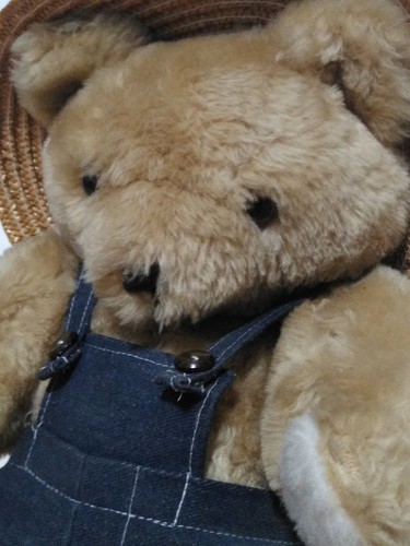 Vintage Wyatt Teddybär Farmer Gardner Overall Overall 15" mit Originaletikett - Bild 9 von 11