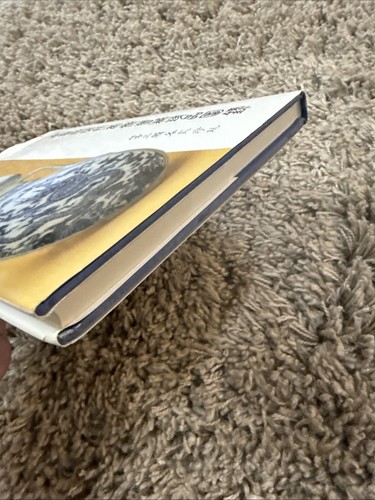The Edward T. Chow CollectionMing e Qing porcellana e opere d'arte libro 3 - Foto 4 di 22