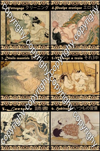 tarotkarten orakel tarot karten große arkana selten japanische erotische frauen - Picture 16 of 24