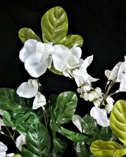 Artificial Branch from Giant White Wisteria Bush, 21"T x Approximately 23"W - Picture 2 of 4