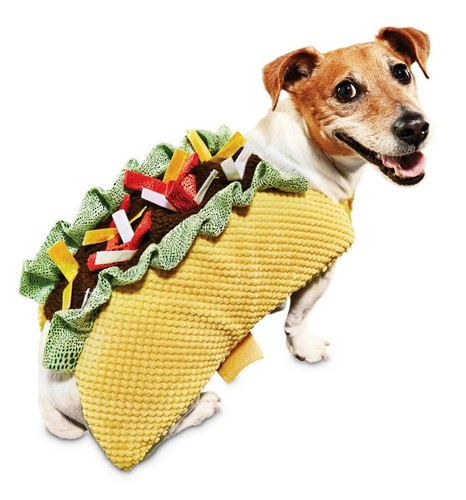 Bootique Dog Cat Halloween Costume Taco Petco Sizes XXS, XS, S, XXL, XXXL - Picture 1 of 11