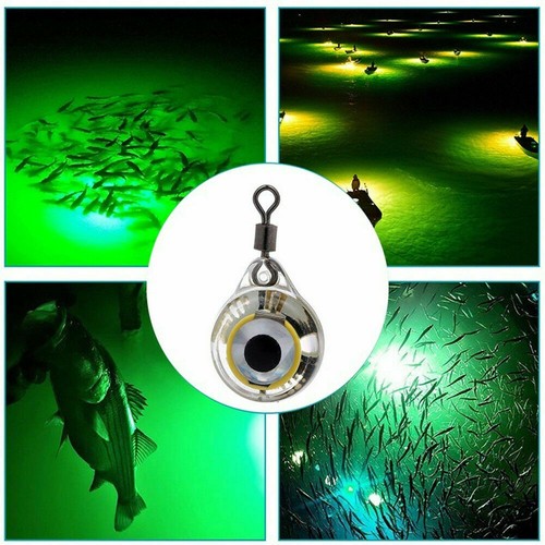 1X 20X Señuelo de Pesca LED Luz Nocturna Peces Accesorio Mini Forma de Ojo Iluminación LED - Imagen 9 de 20