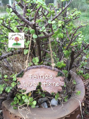 Fairy Garden Sign Fairies Live Here Miniature Fairy Garden