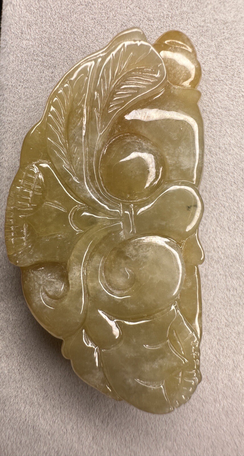 Picture 5 of 10