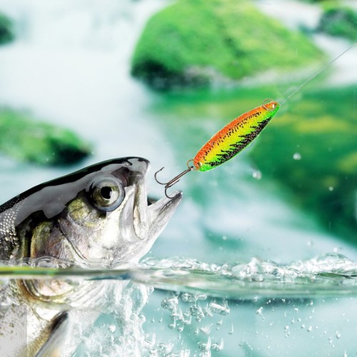 Christmas Advent Calendar Fishing Countdown 24 Days Fishing Set Surprise Gift - Picture 7 of 7