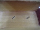 Bild 10 von 12