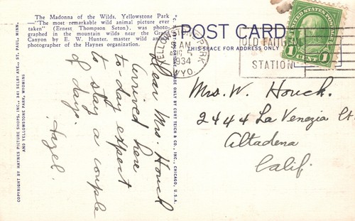 Vintage Postcard 1934 Madonna of the Wilds Yellowstone Park Wild Animal Picture - Picture 2 of 2