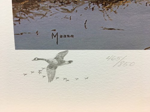 Stampa artistica firmata e numerata soffitto basso Canada oche - Foto 2 di 2