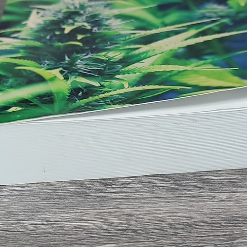 Die gesundheitlichen Auswirkungen von Cannabis und Cannabinoiden aktueller Stand Evidenz Forschung - Bild 9 von 24