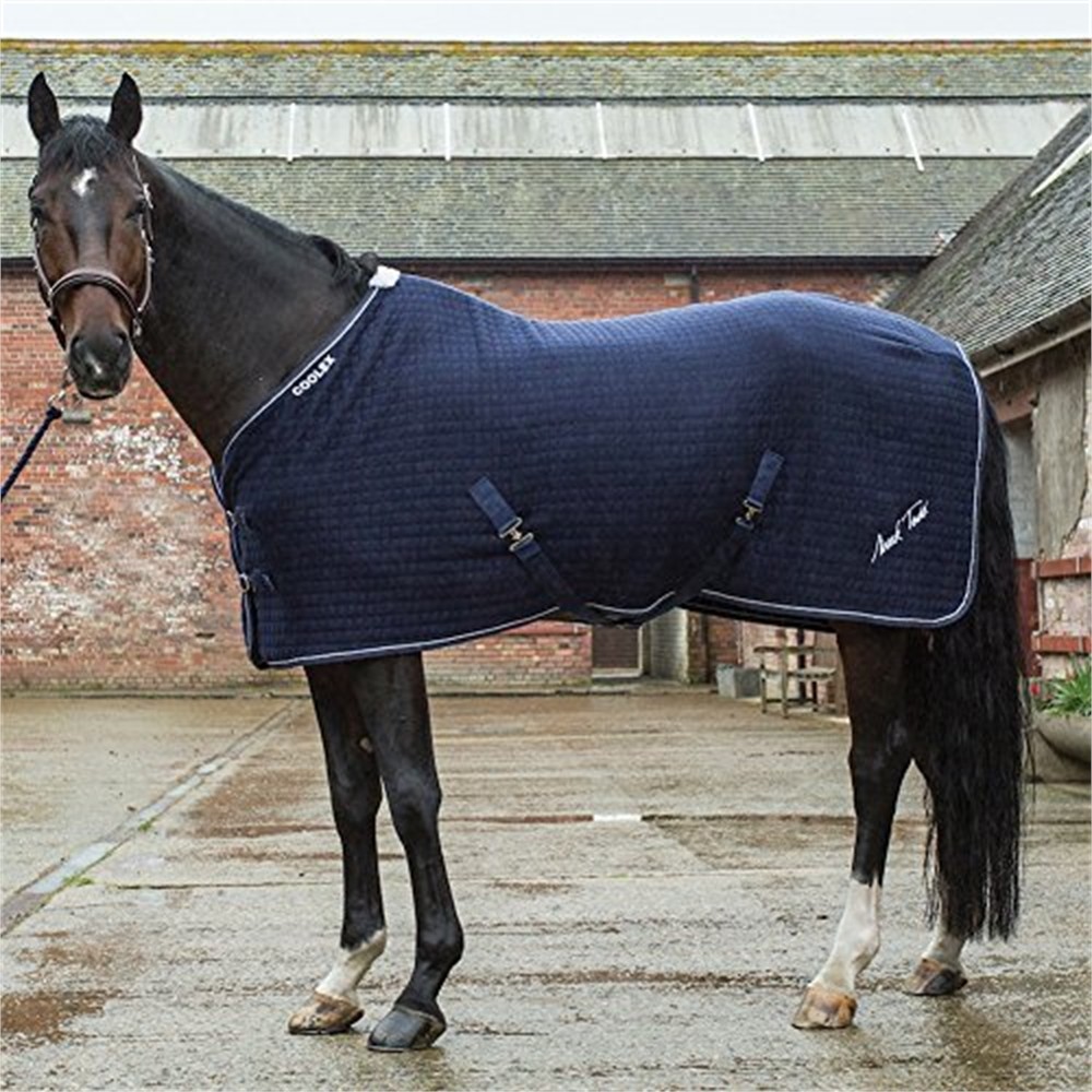 Mark Todd Coolex Enfriador Alfombra 6ft9 Azul Marino Plateado-Azul Marino Tallas 56 70 Mark Todd Coolex Enfriador Alfombra 6ft9 Azul Marino Plateado-Azul Marino Tallas 56 70