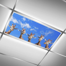 2 Pack Fluorescent Light Cover for Classroom, Giraffe Drop Ceiling Decorative Fi