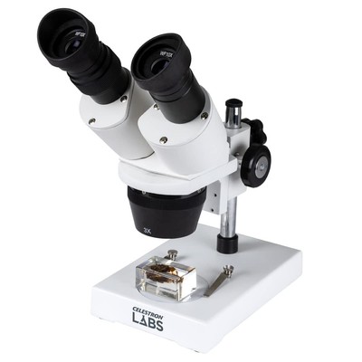   Stereo Microscope   Labs S1030N   Ergonomic Binocular Head   10x and 30x Ma...