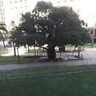Picture 2 of 4
