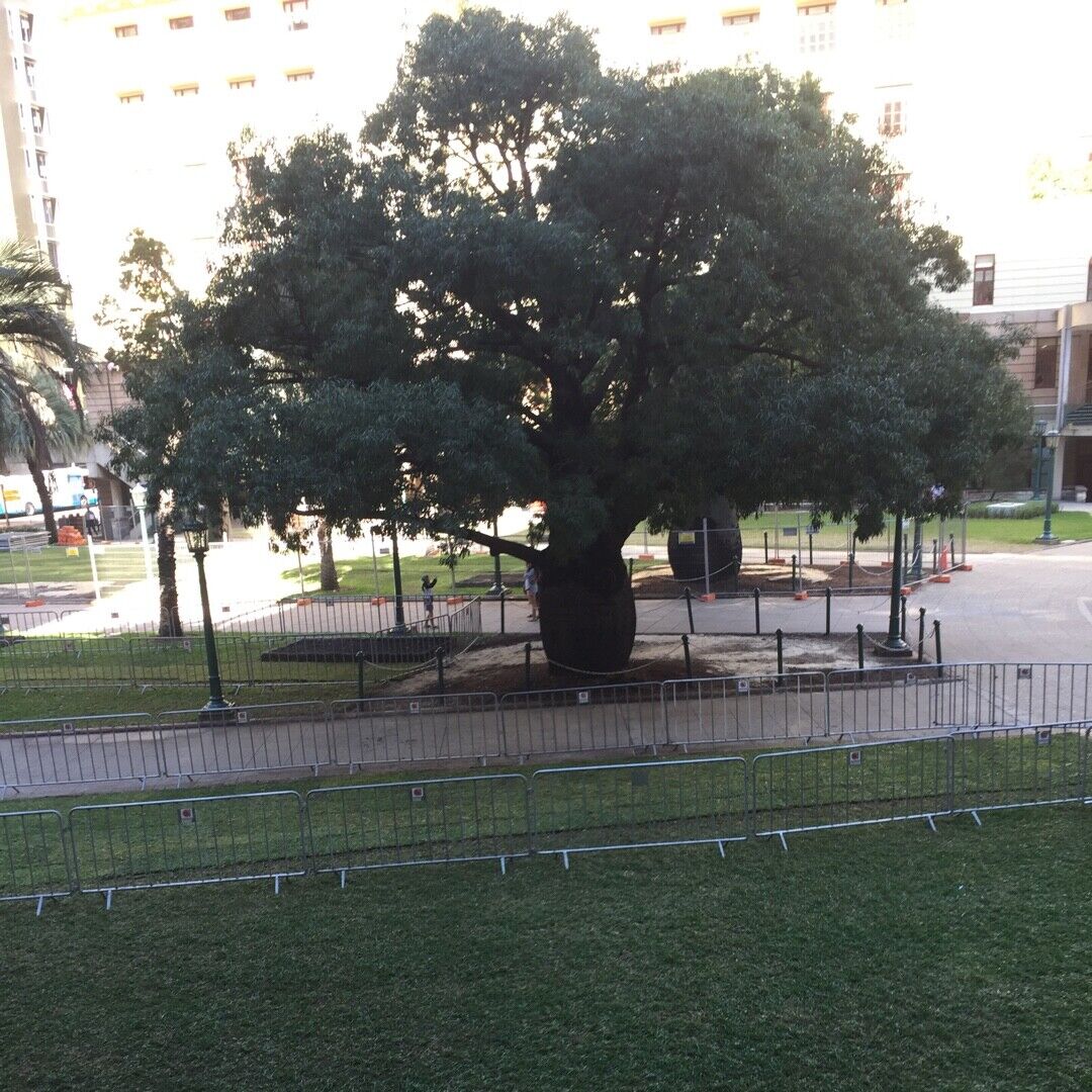 Picture 2 of 4